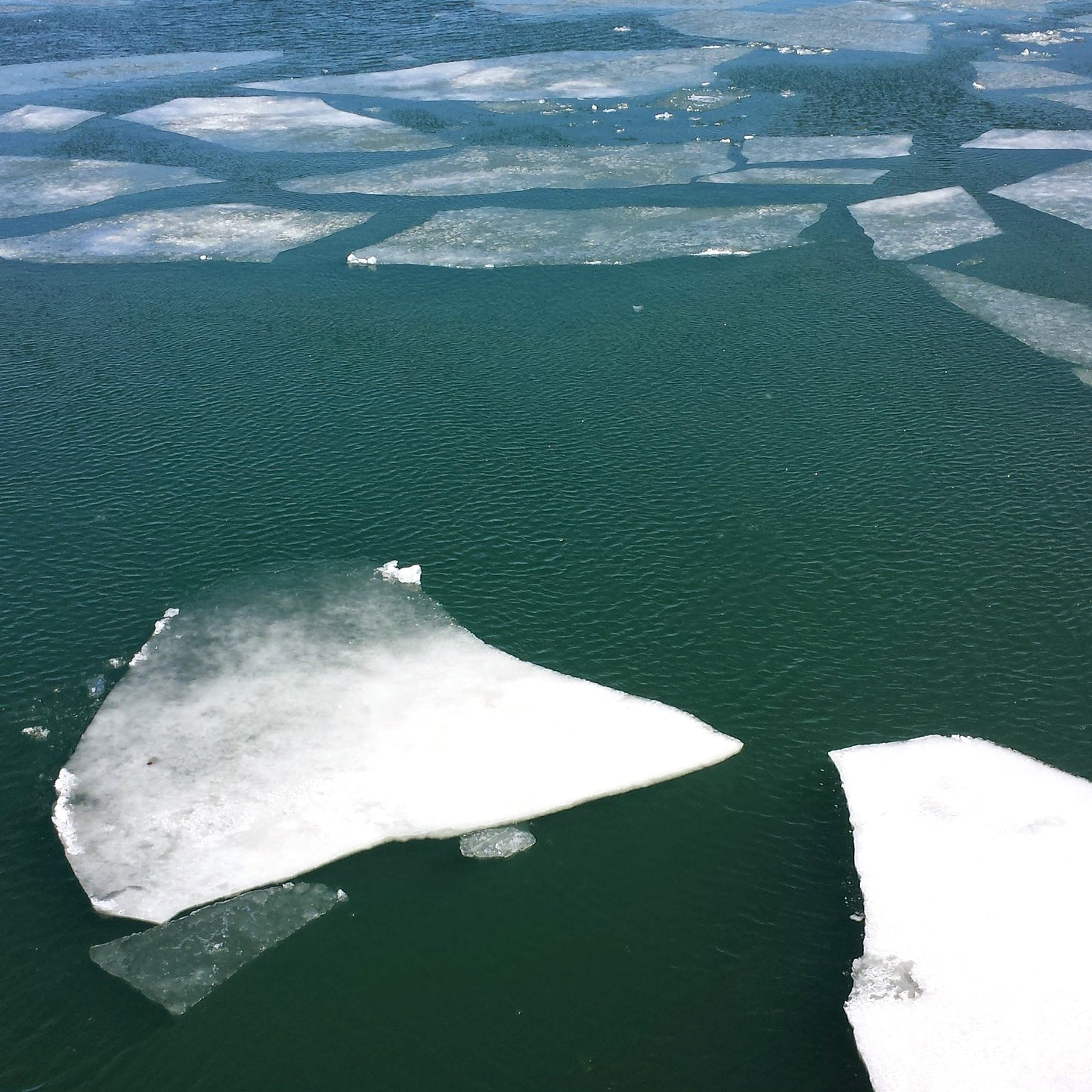 Fruit of the Underworld